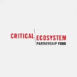 CEPF